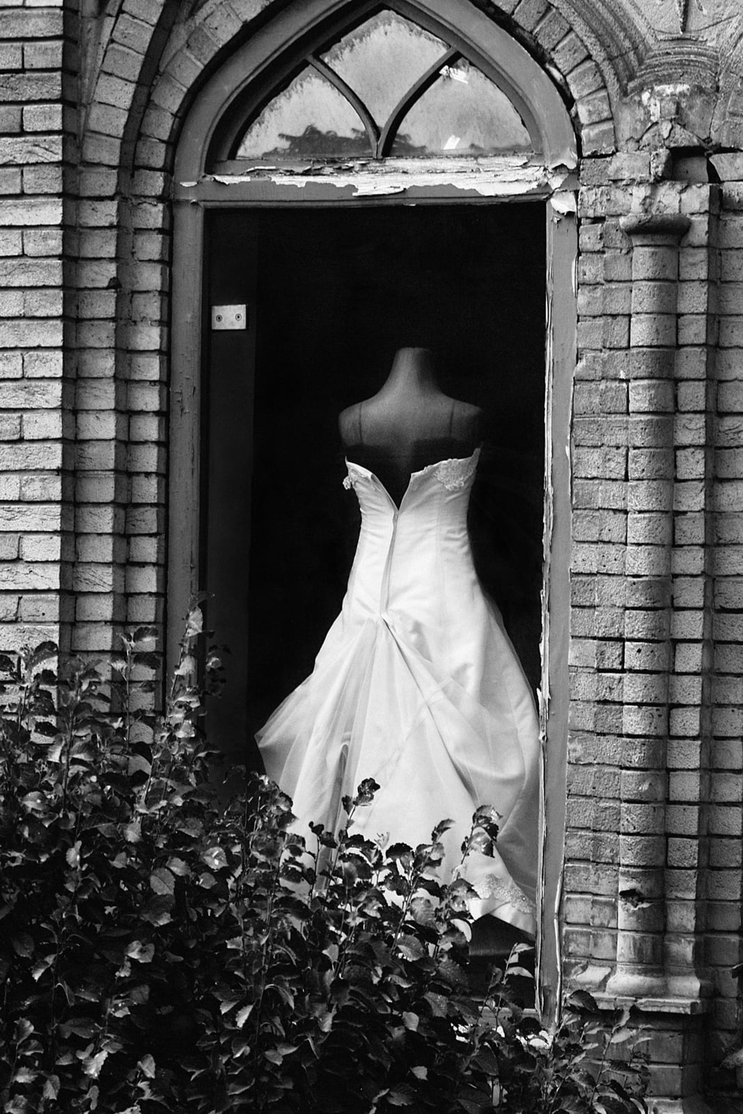 Tahmineh Monzavi, Brides, 2012