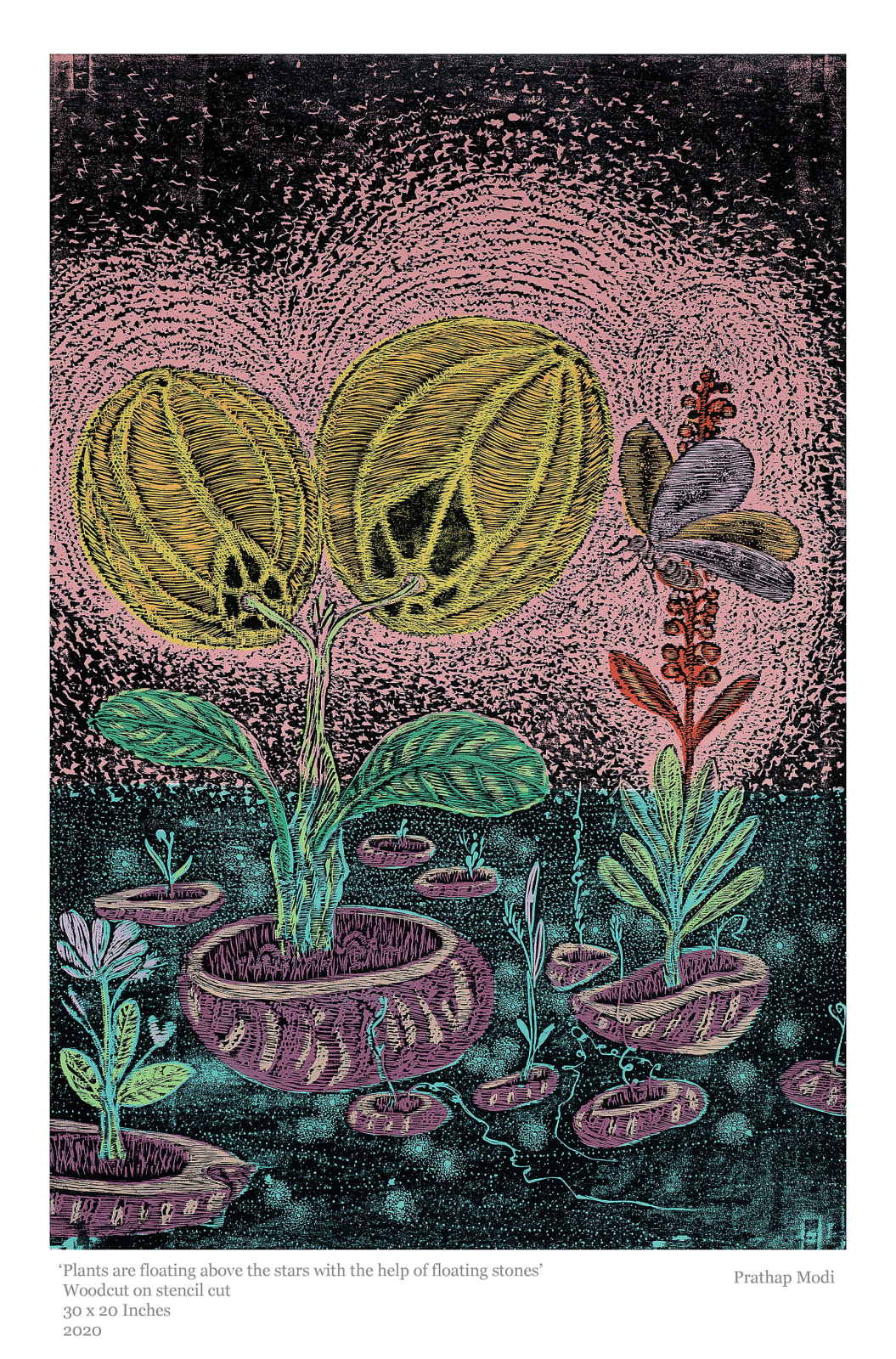Prathap Modi, Plants are floating above the stars with help on stone, 2020