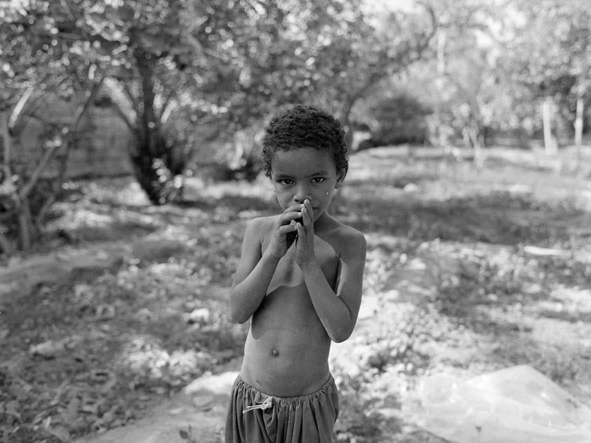 Tahmineh Monzavi, Afro-Iranians, 2020-2022