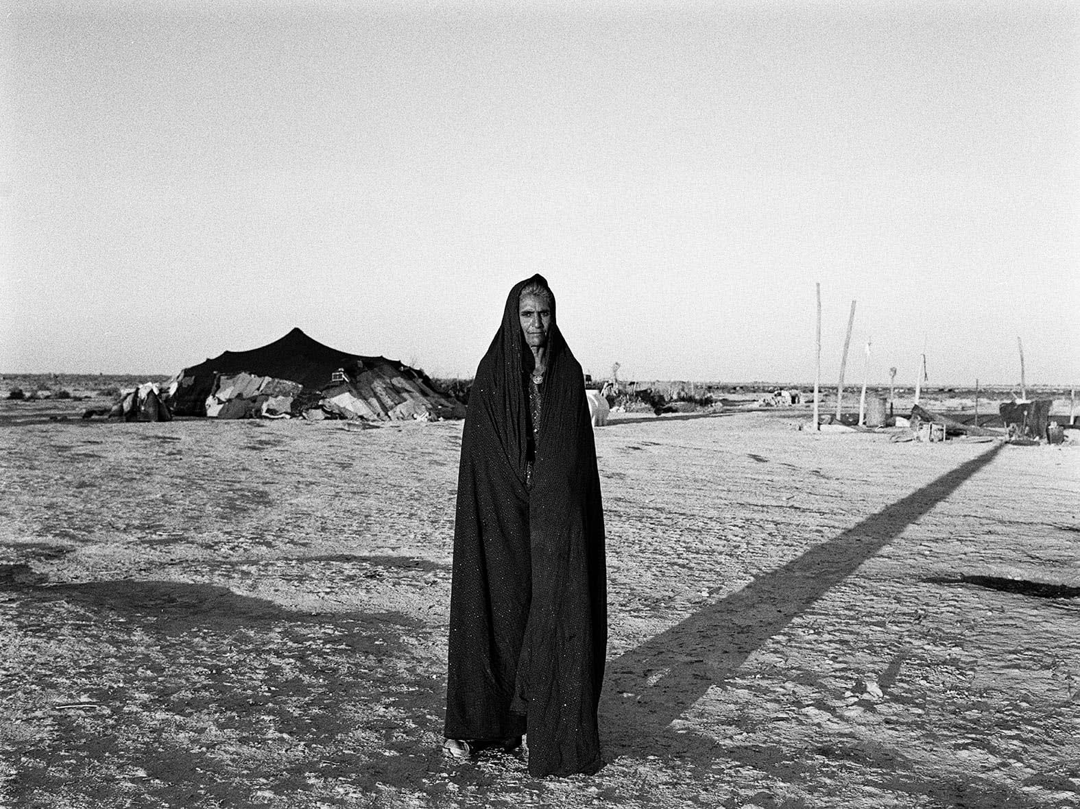 Tahmineh Monzavi, Hamoon, 2019-2021