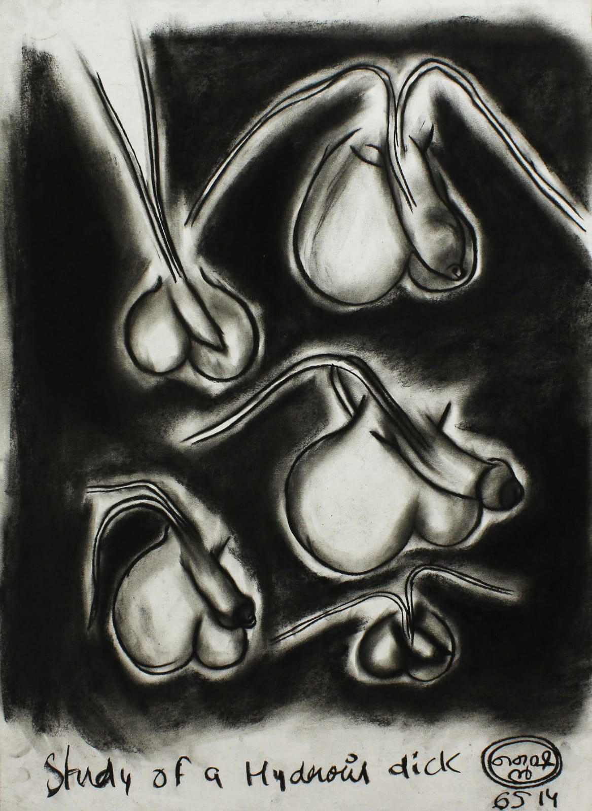 Shine Shivan, 2014