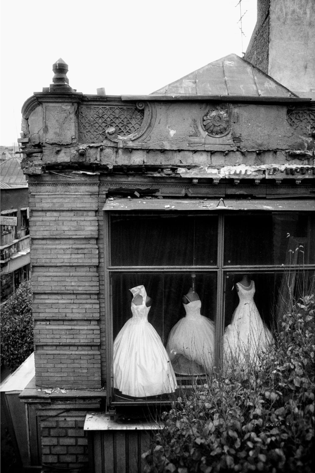 Tahmineh Monzavi, Brides, 2012