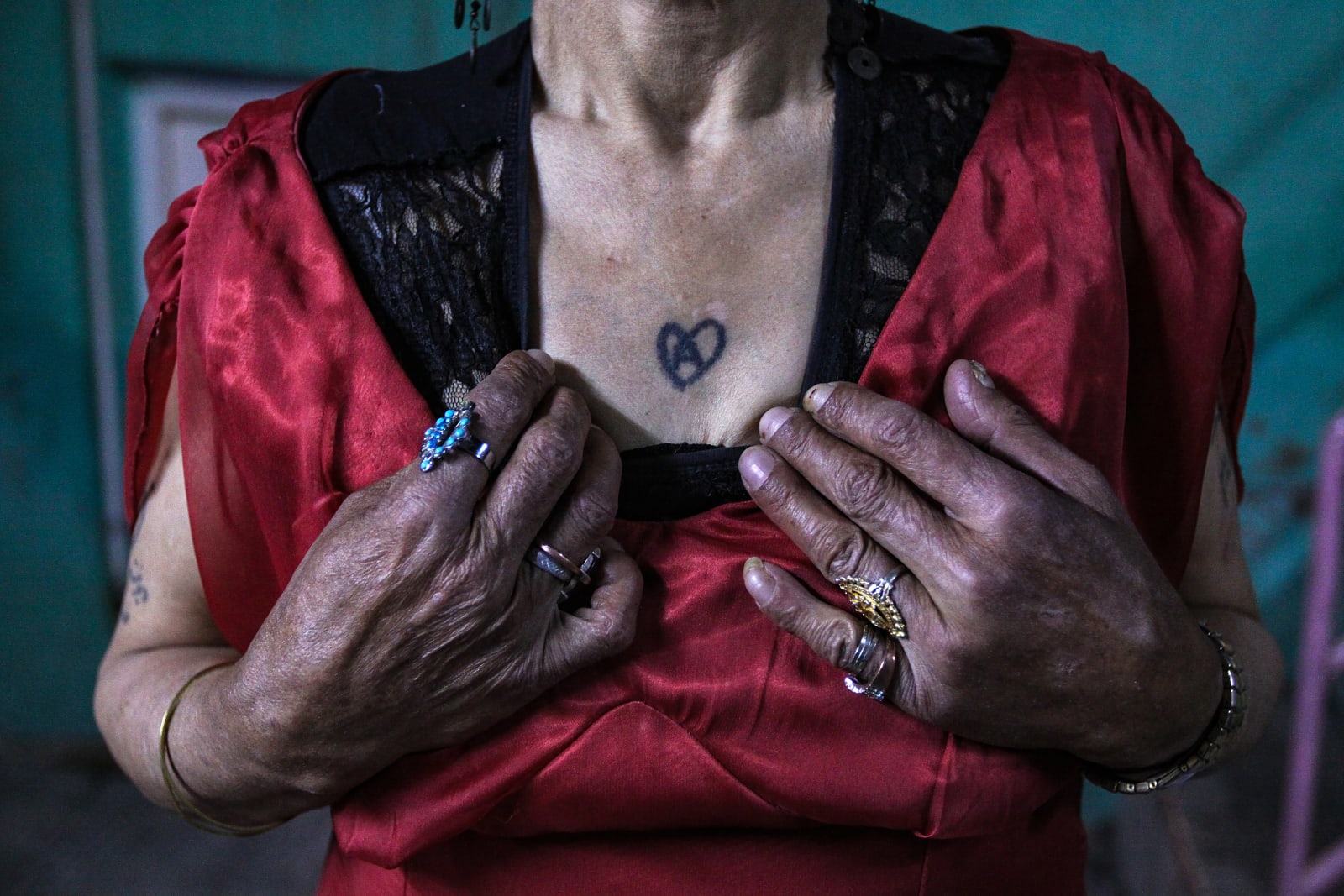 Tahmineh Monzavi, Grape Garden Alley, 2007 -2012