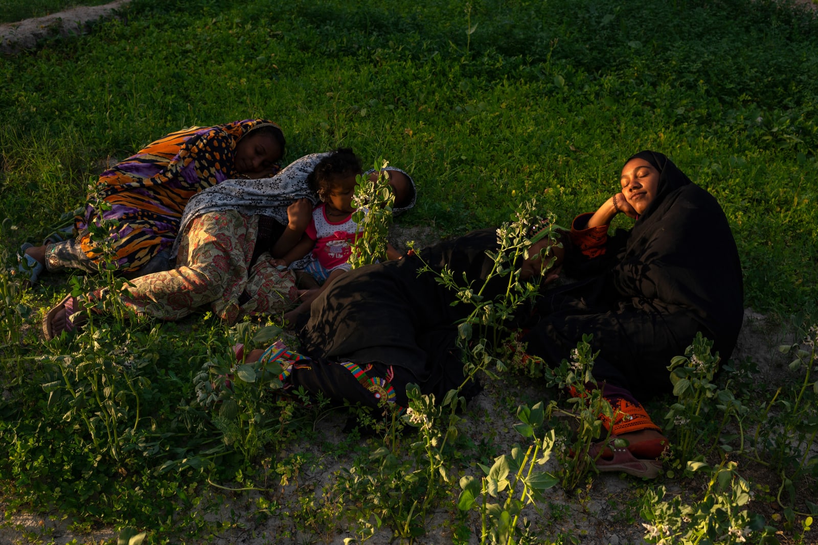 Tahmineh Monzavi, Afro-Iranians, 2020-2022