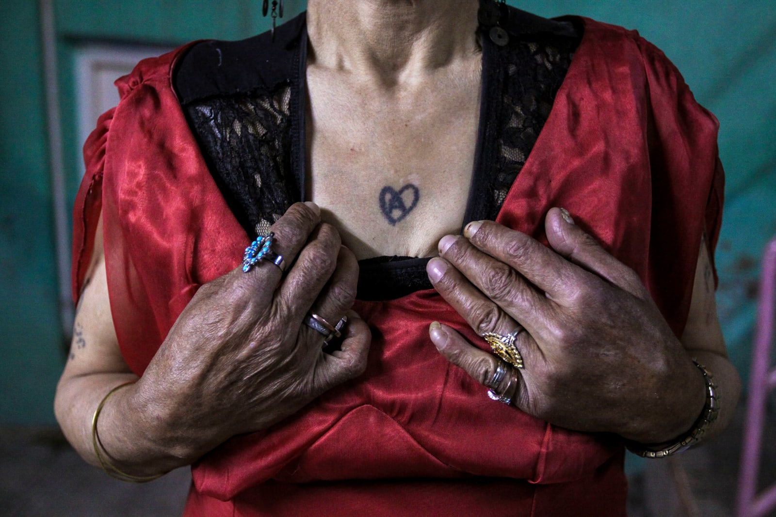 Tahmineh Monzavi, Grape Garden, 2008-2012