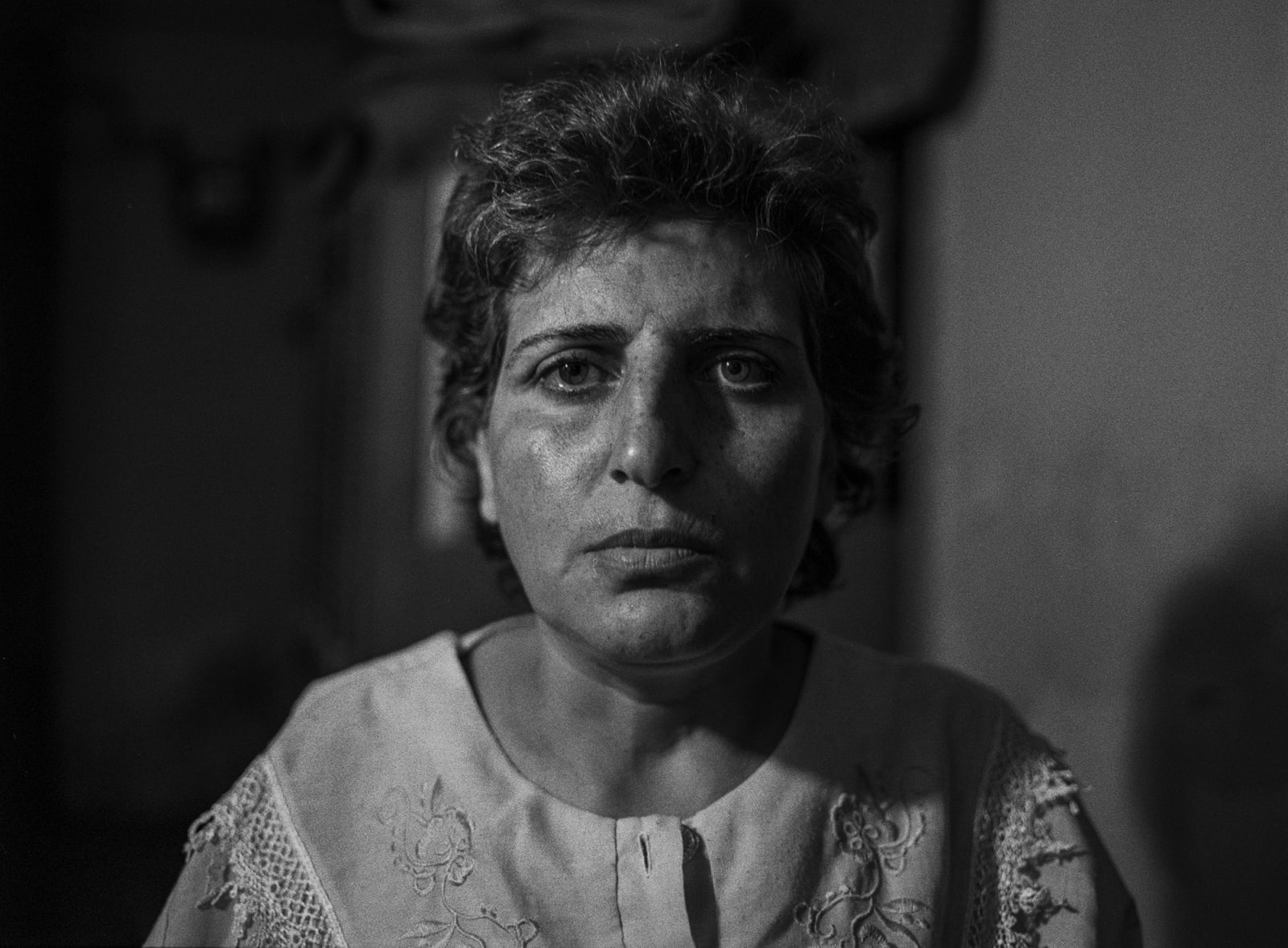 Tahmineh Monzavi, Grape Garden, 2008-2012