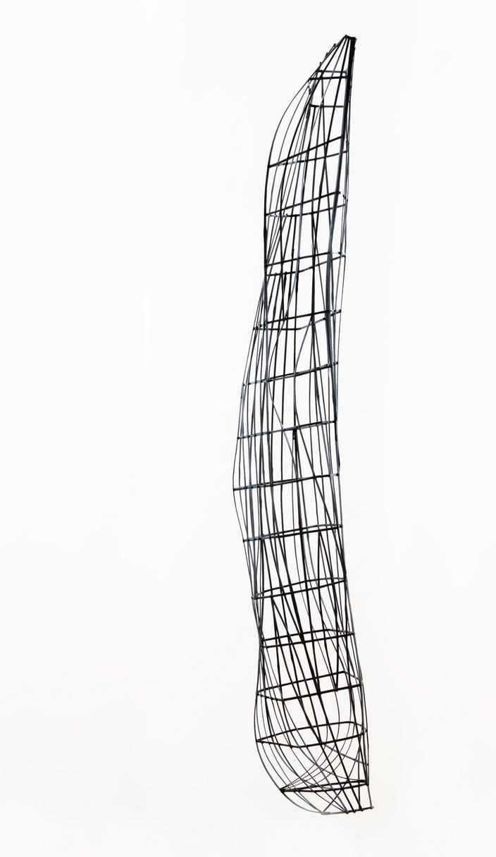 Vishal K. Dar, BAMBOO_003, 2009