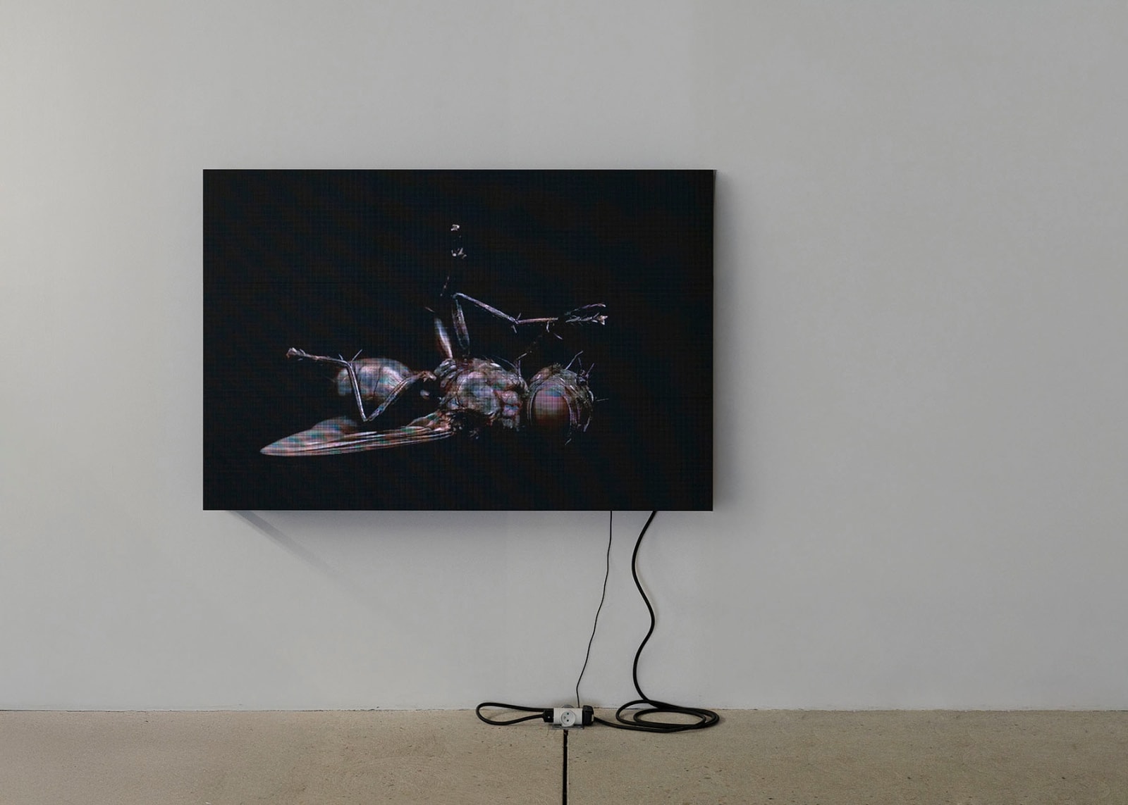 Chloé Delarue, TAFAA - TINA UNFOLLOW ALICE (Again And Again), 2025