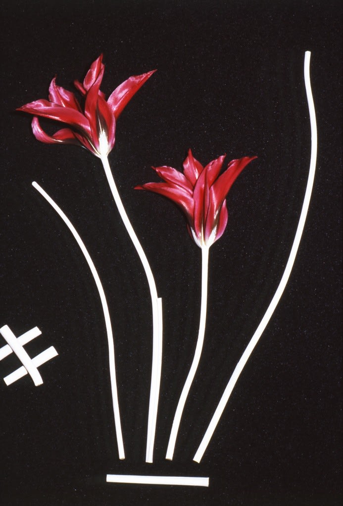 Unglee, Éludienne, 30 avril 1992