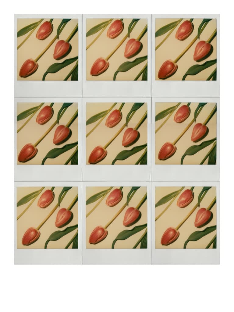 Unglee, Trois tulipes roses, Paris, 1982