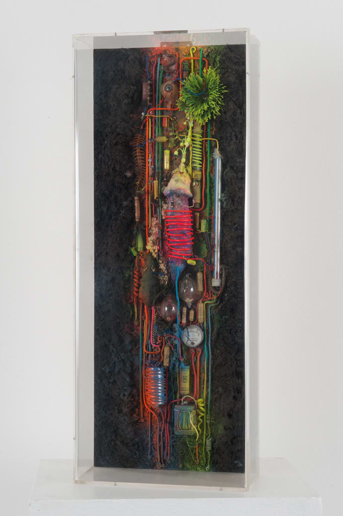 Tetsumi Kudo, Pollution - cultivation - nouvelle écologie, 1974