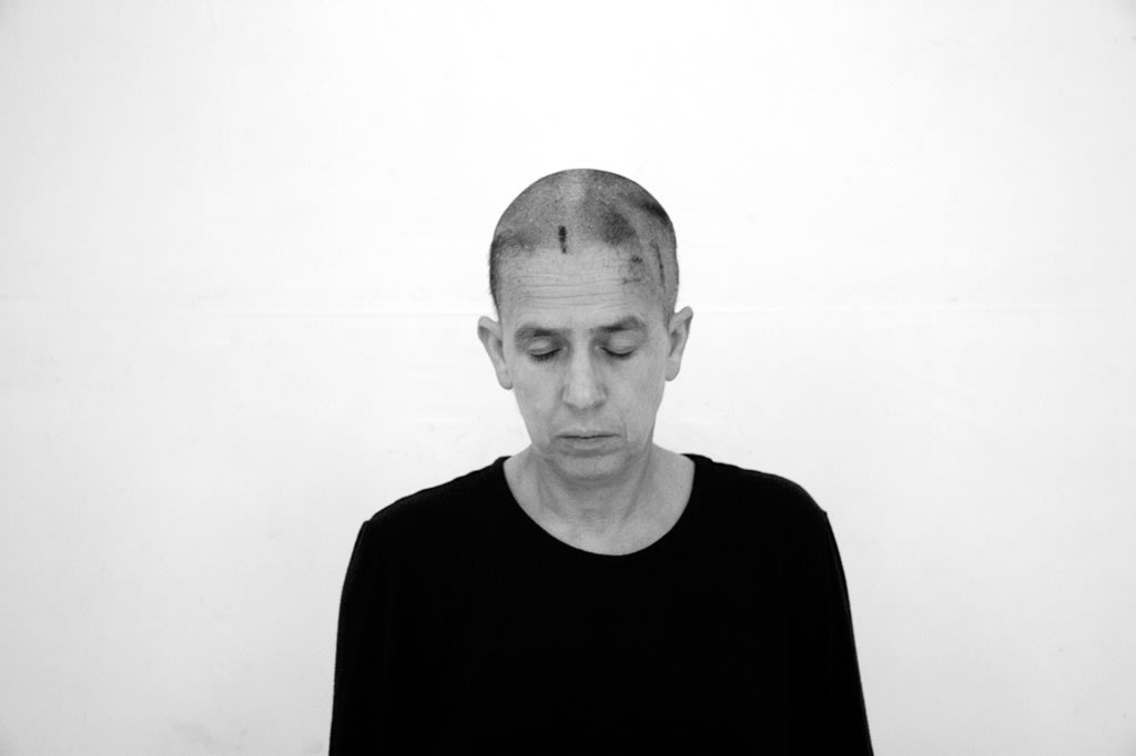 Hélène Delprat, Face, 2011