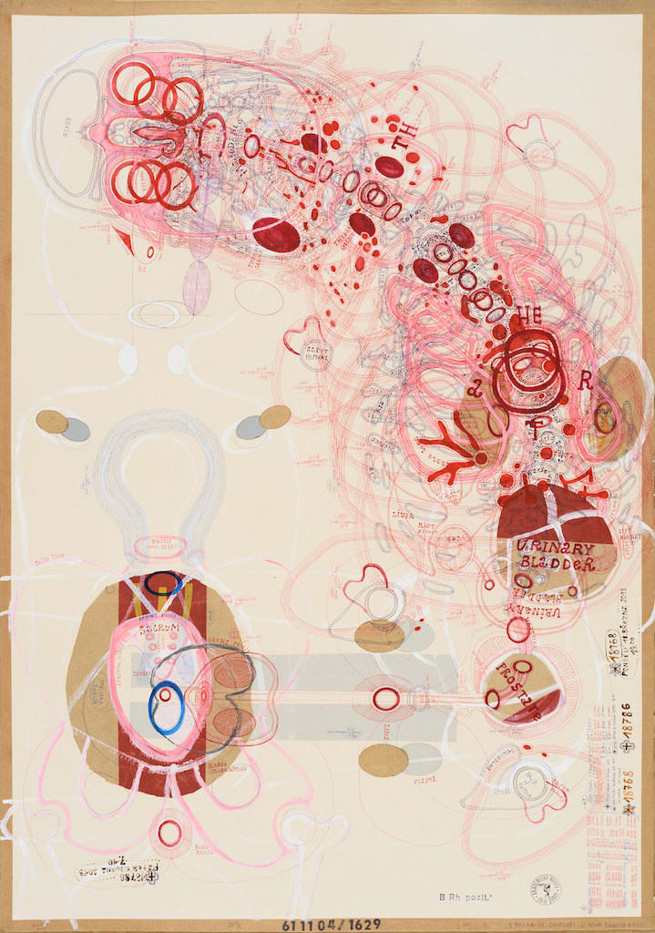 Lubos Plny, Sans titre (18786), 2013