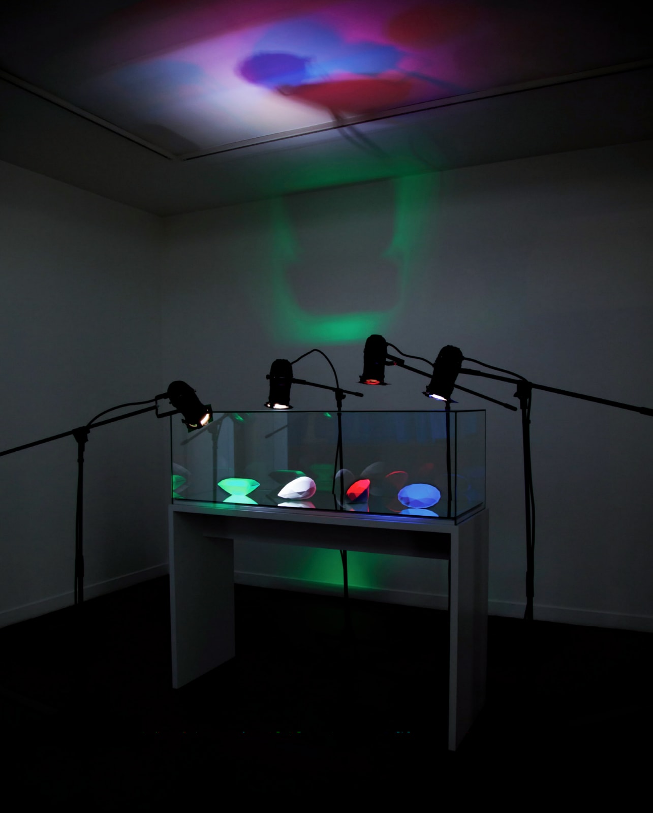Véronique Boudier, Les Joyaux Magiques, 2014