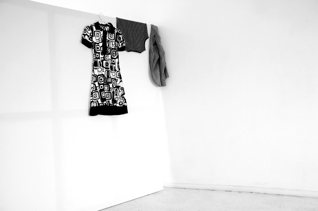 Hélène Delprat, Le jour où j'ai voulu être Anna Blume, 2011