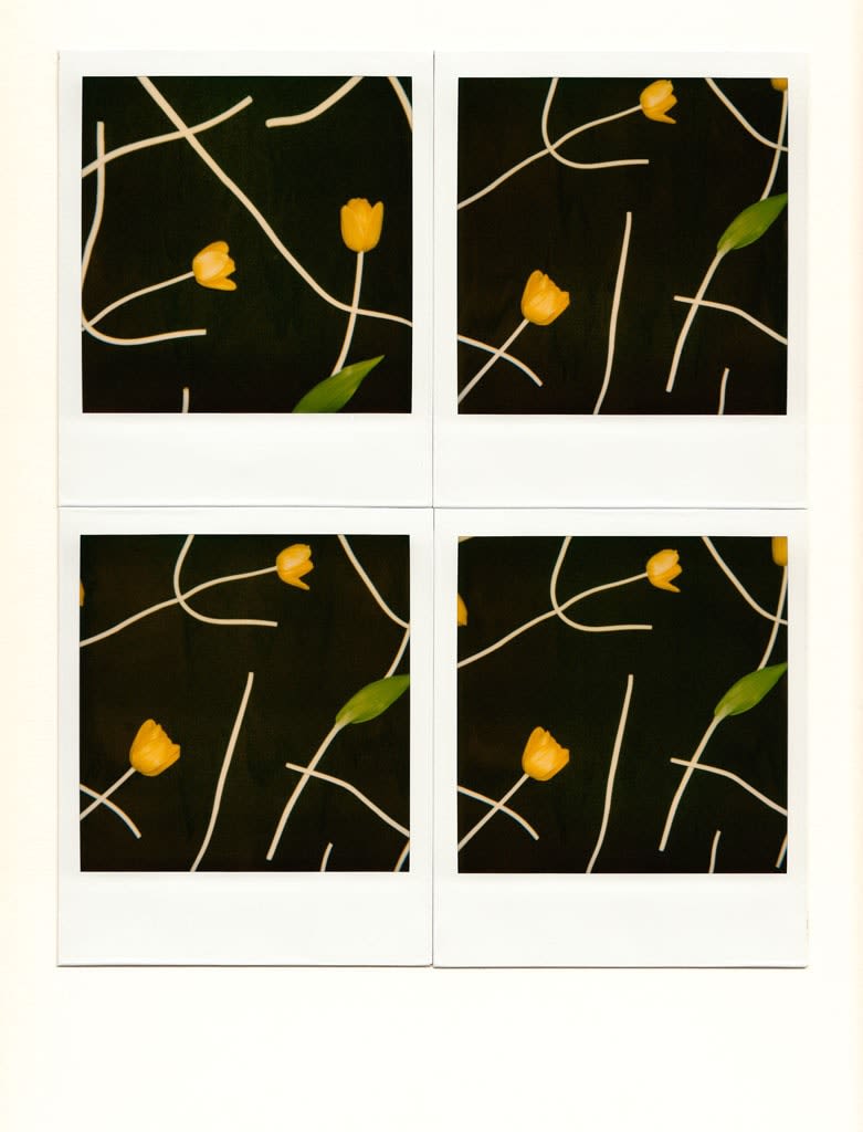 Unglee, deux tulipes jaunes, 1990