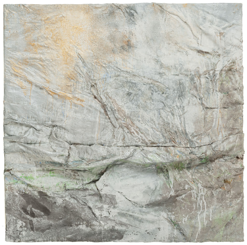 Kassia Knap, Paysage, 2009 - 2011