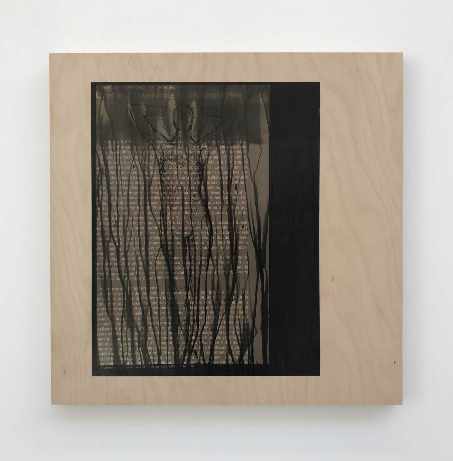 Isabelle Le Minh, Quel est l'avenir de la photographie , 2019