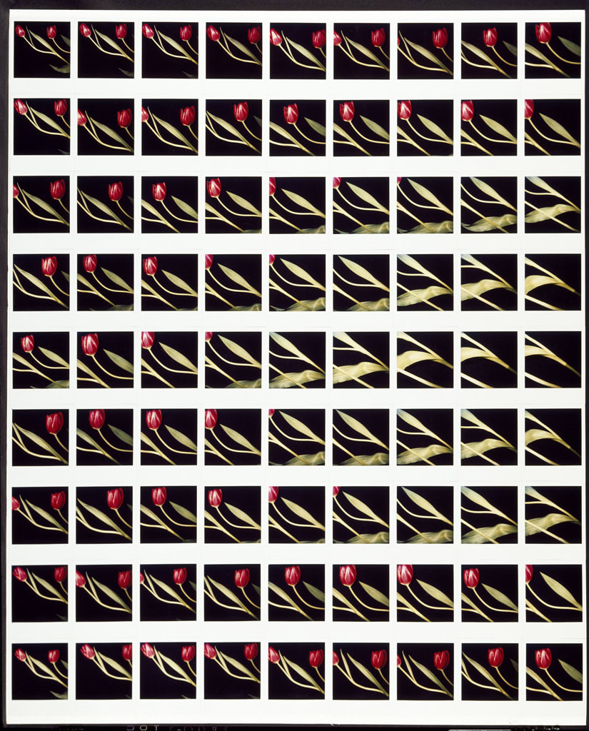 Unglee, Sans titre, 8 avril, 1983
