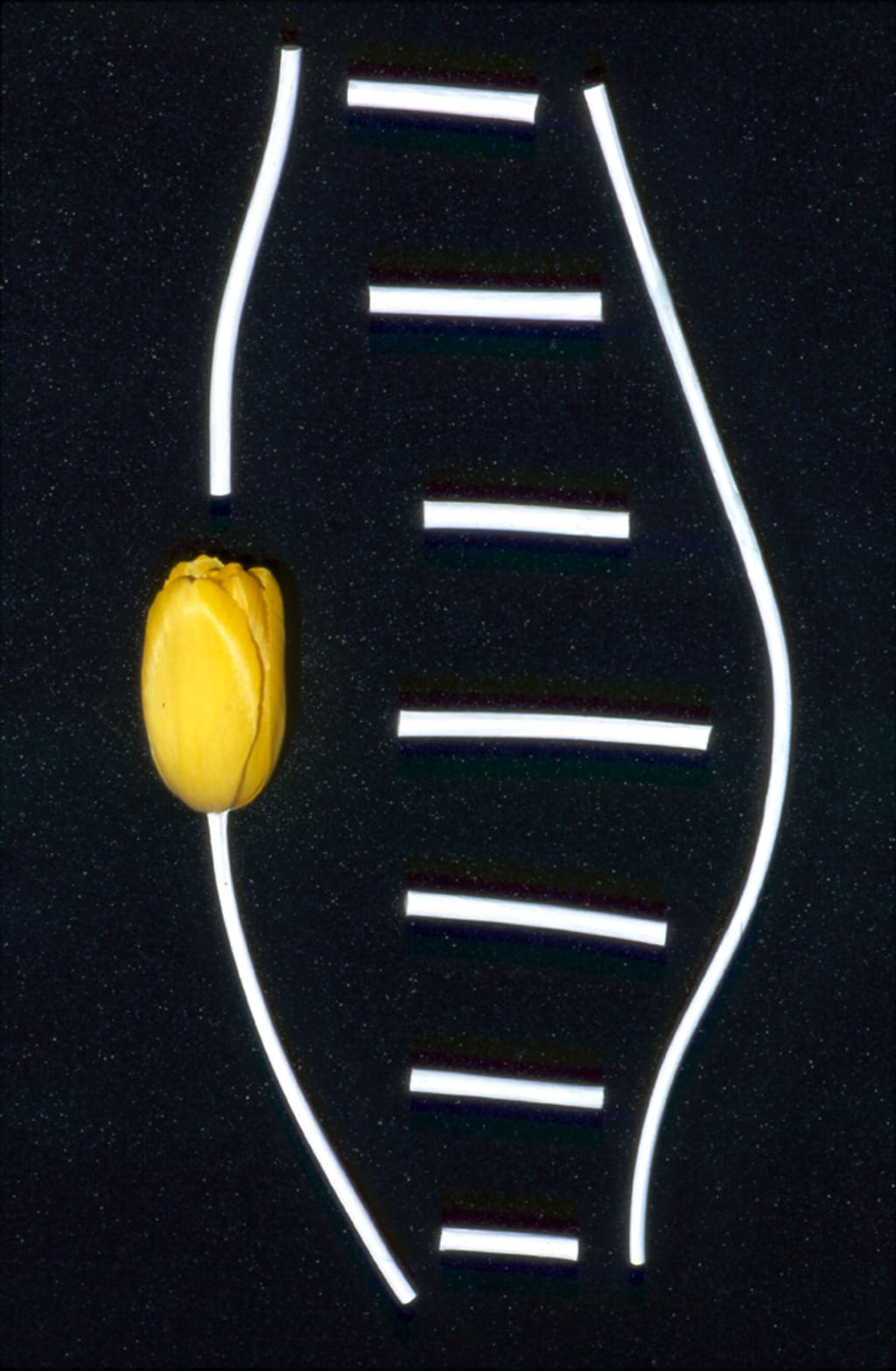 Unglee, Éludienne, Paris - 30 avril 1992, juillet 1992