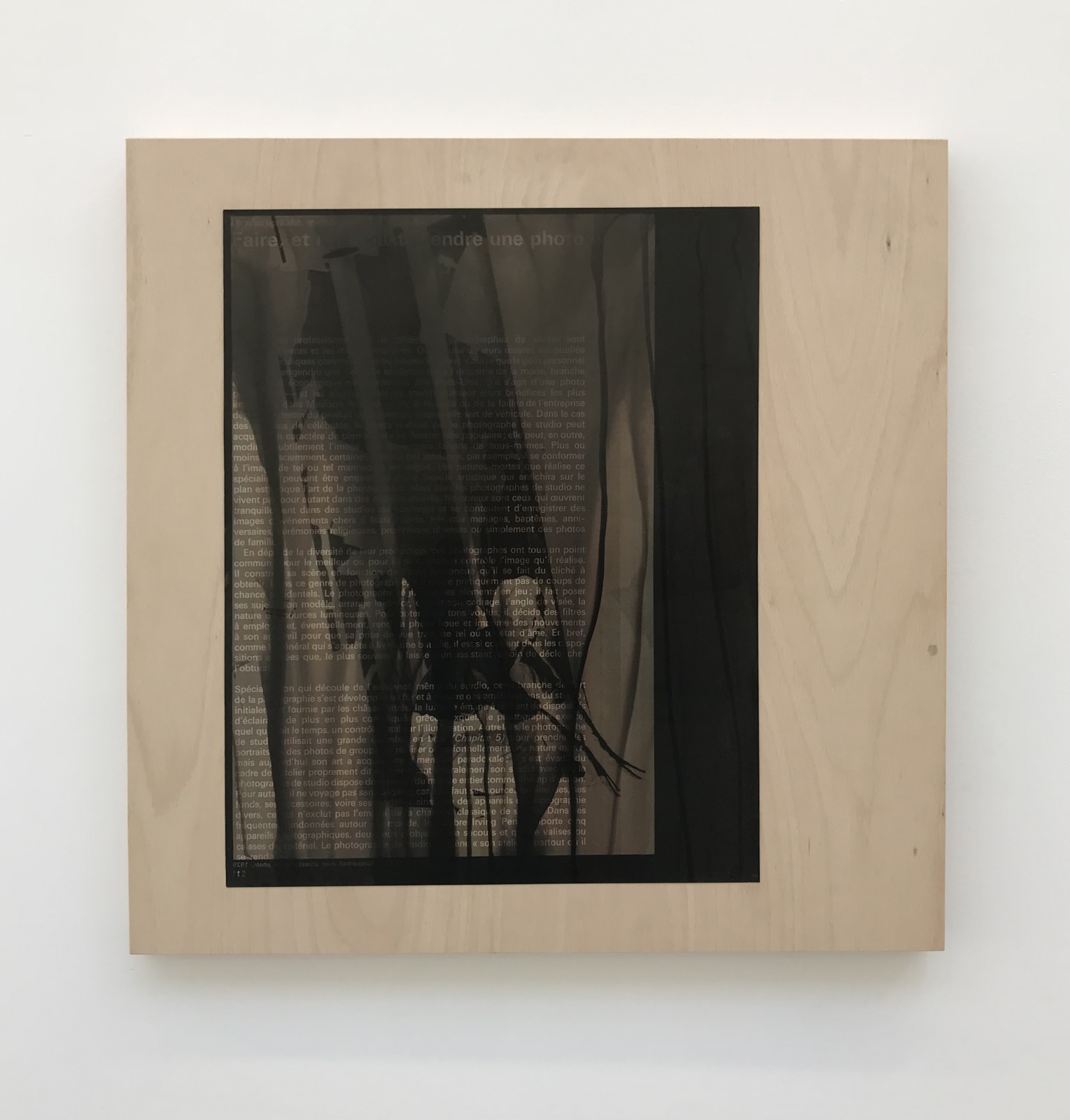 Isabelle Le Minh, Faire, et non point prendre une photo, 2019