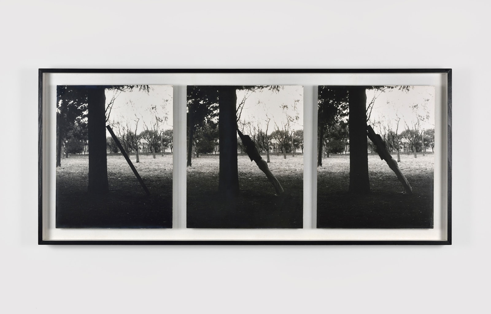 Masaki Nakayama, Identification, 1978