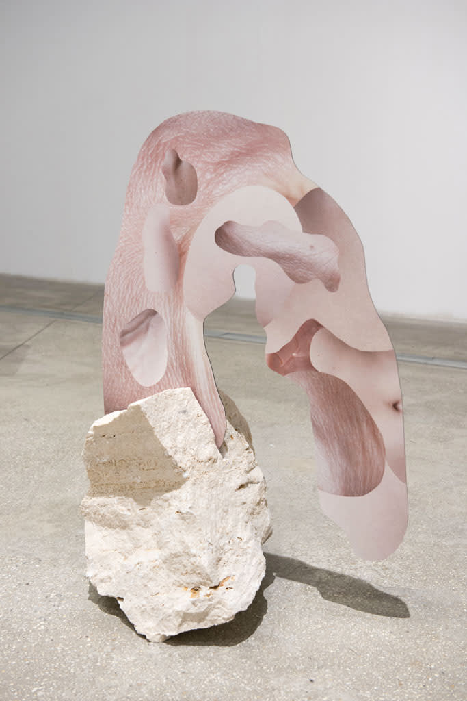 Rachel De Joode, Human Skin In Rock V, 2015