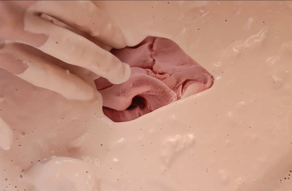 Rachel De Joode, Soup, 2015