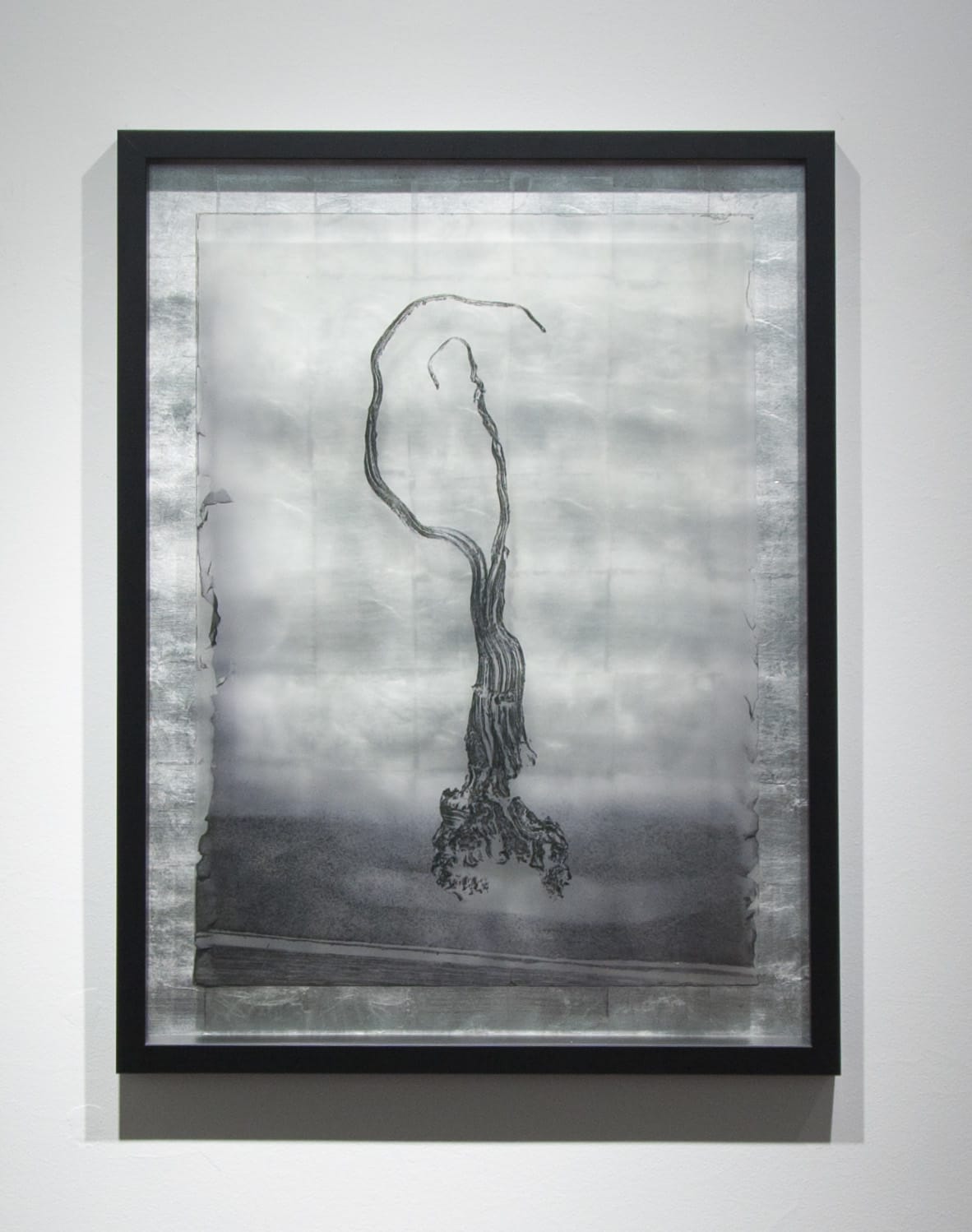 Isabelle Le Minh, Silver, after Alfred Ehrhardt, 2019