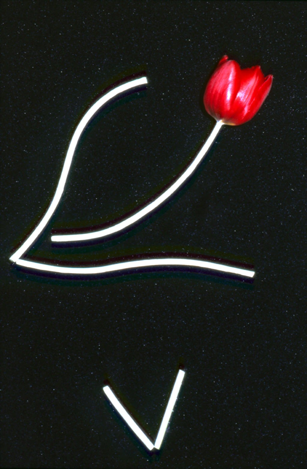 Unglee, Éludienne-décembre, 1989