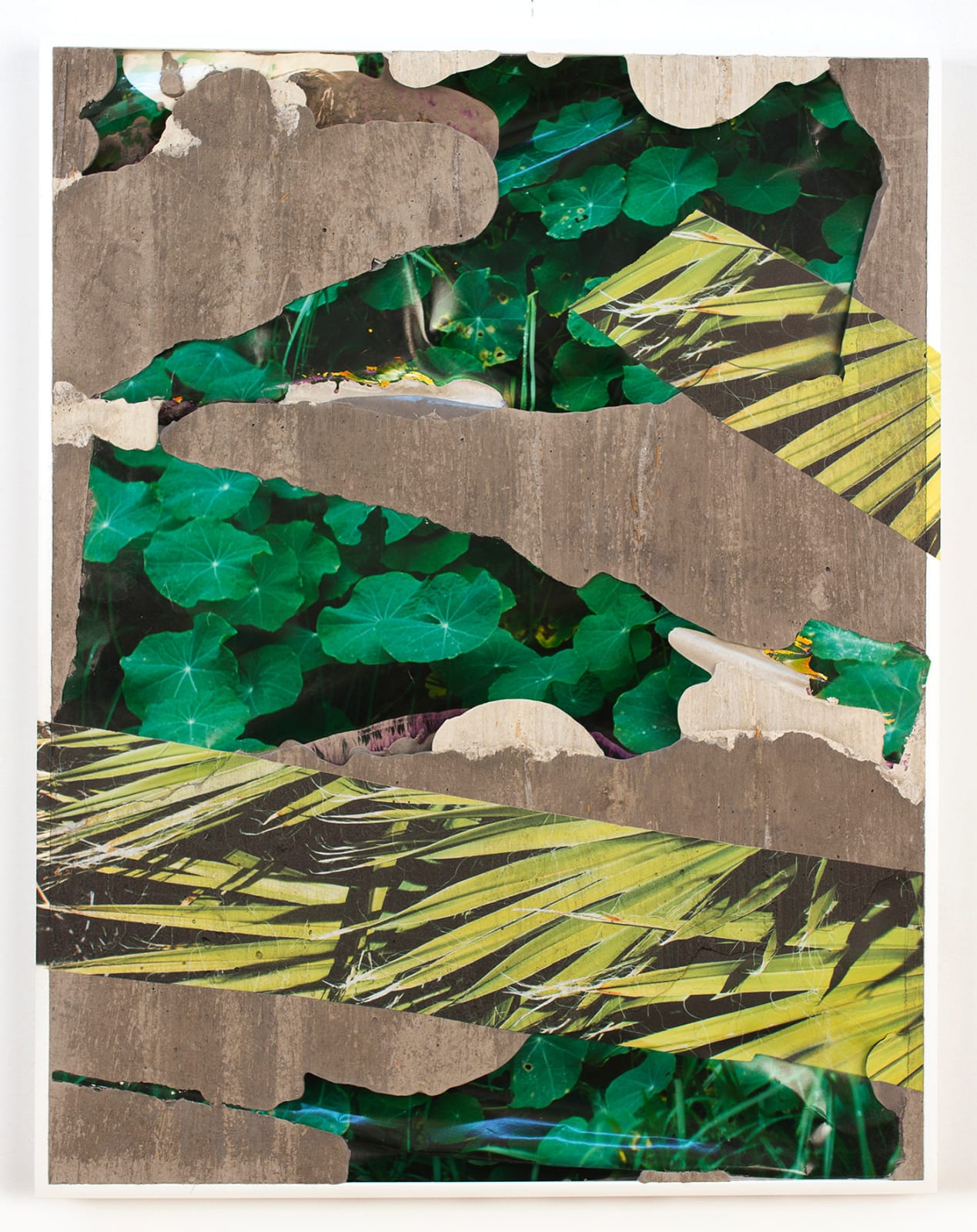 Letha Wilson, Hawaii Nevada Flora Concrete Bend, 2020