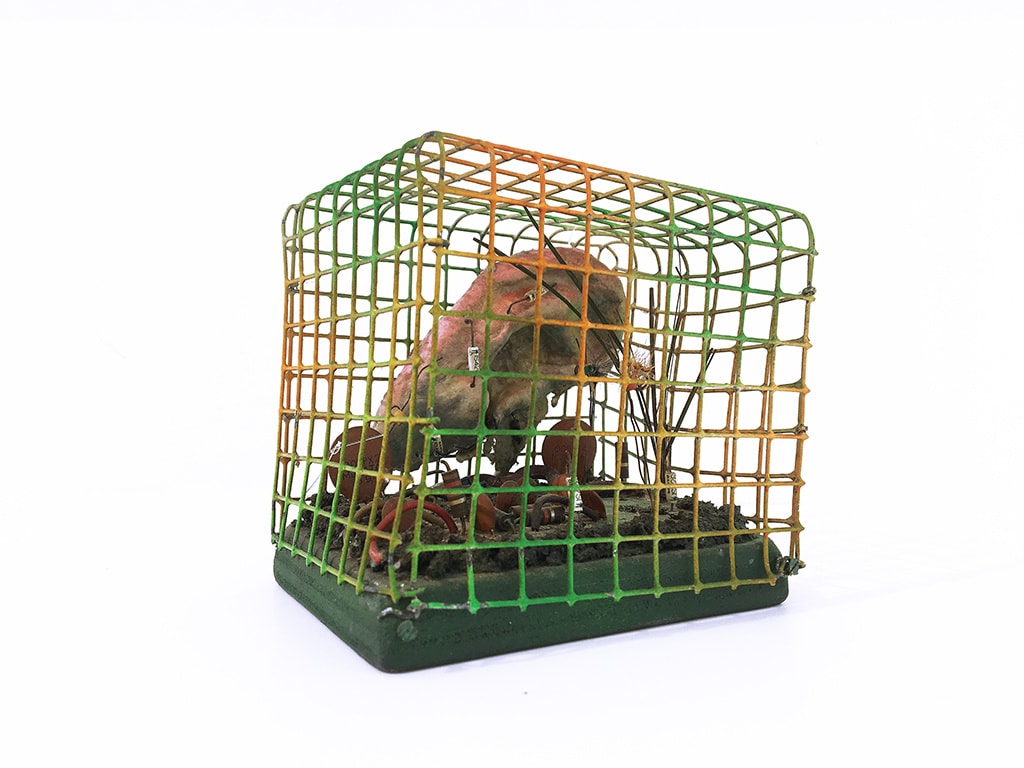 Tetsumi Kudo, Symbiose, 1976