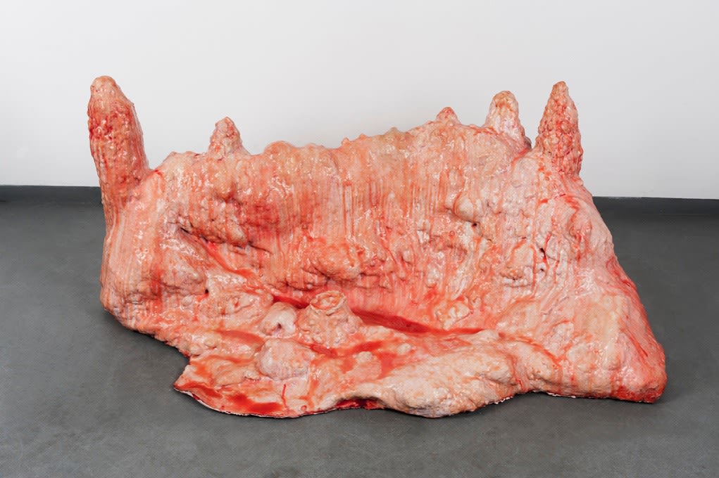 Véronique Boudier, Du château | Réplique toy, 2011