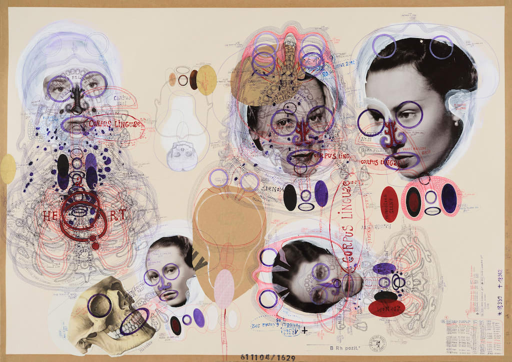 Lubos Plny, Sans titre (18362), 2012