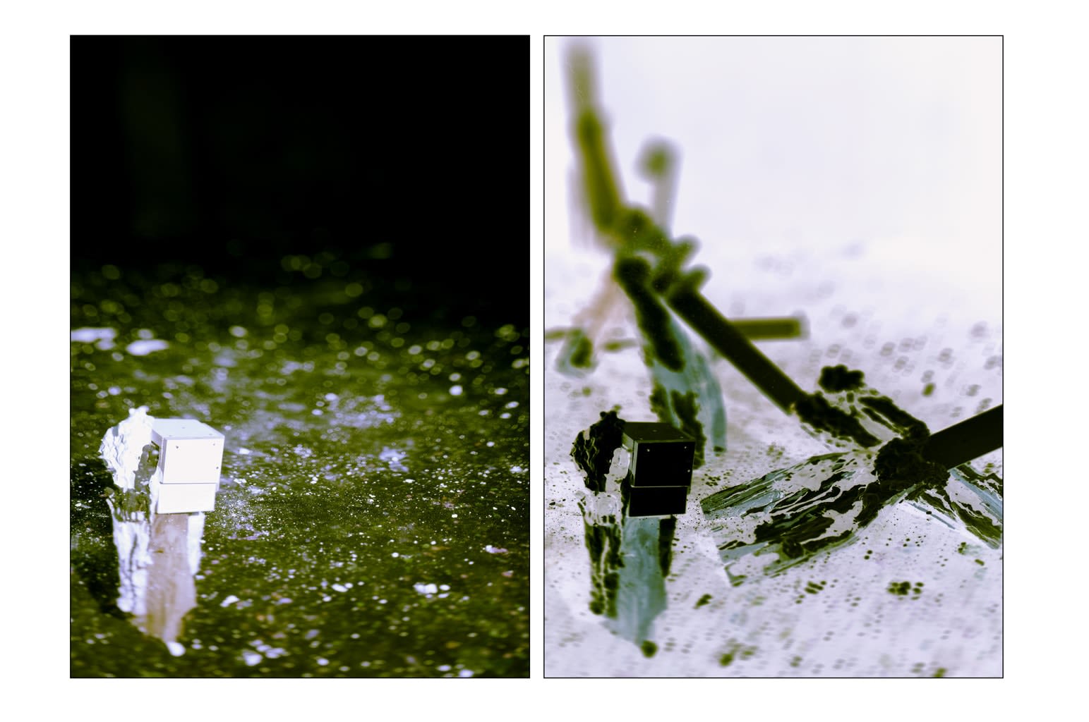 Thibault Hazelzet, La Parabole des Aveugles, Diptyque #16 P, 2012