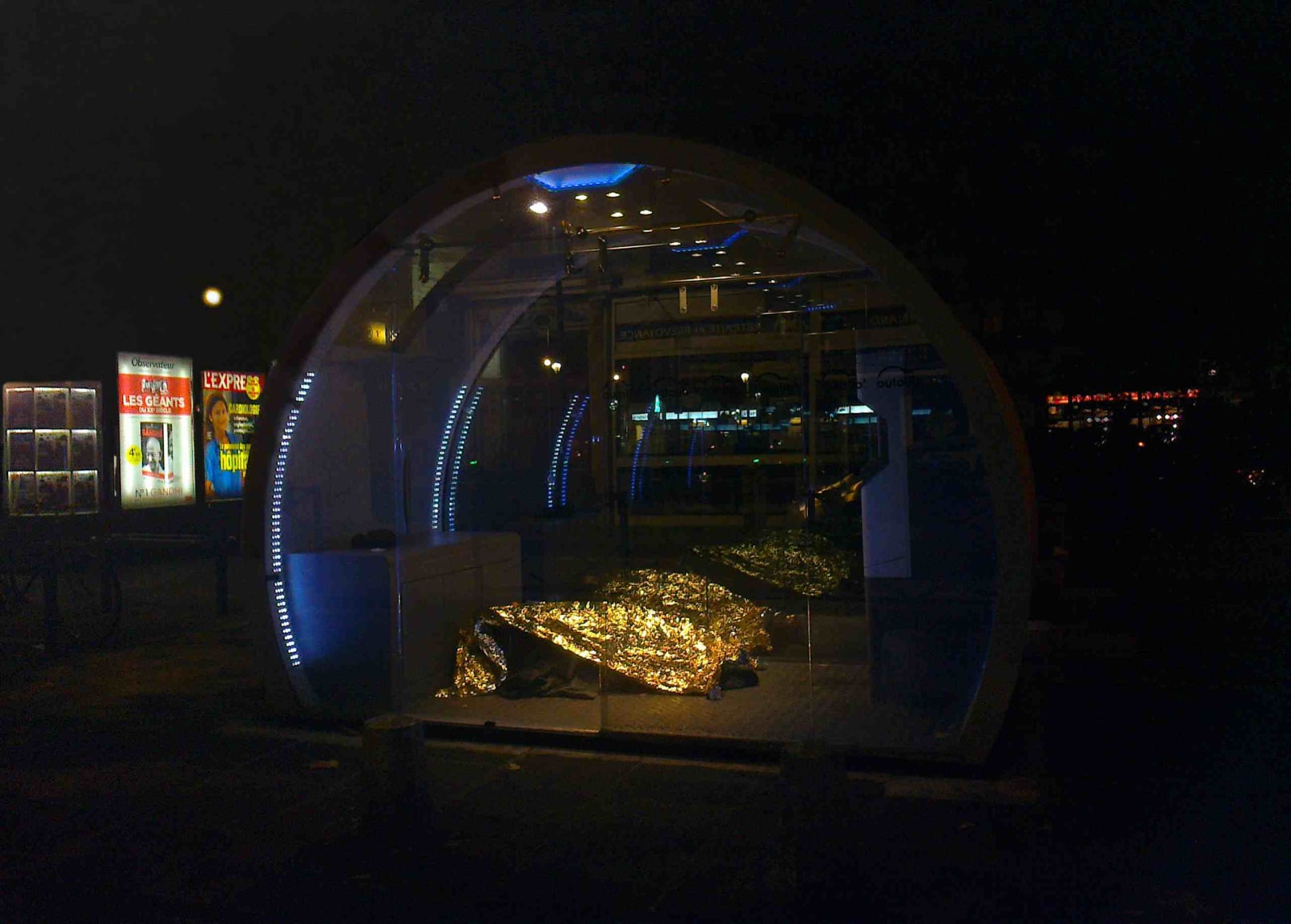 Véronique Boudier, l'homme à feuille d'or, 2012