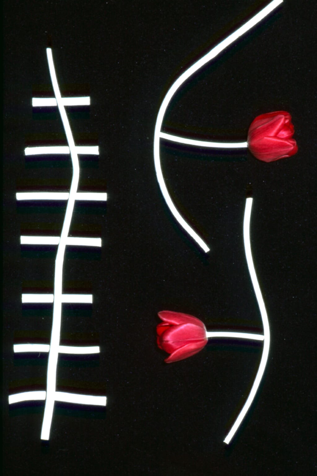 Unglee, Éludienne-19 avril, 1991