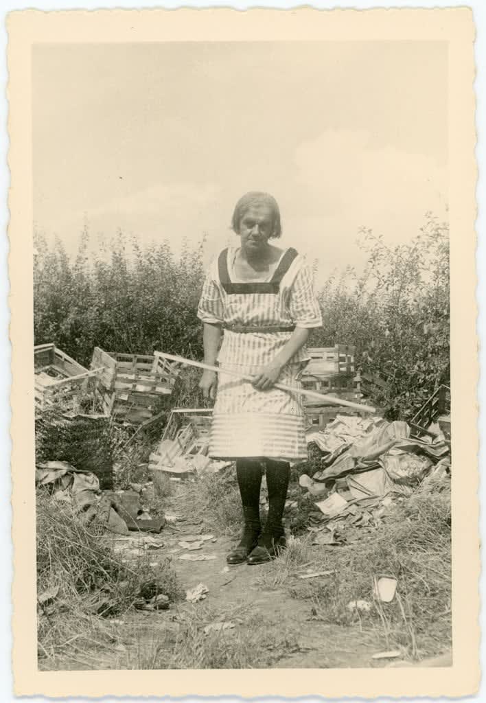 Marcel Bascoulard, Sans titre