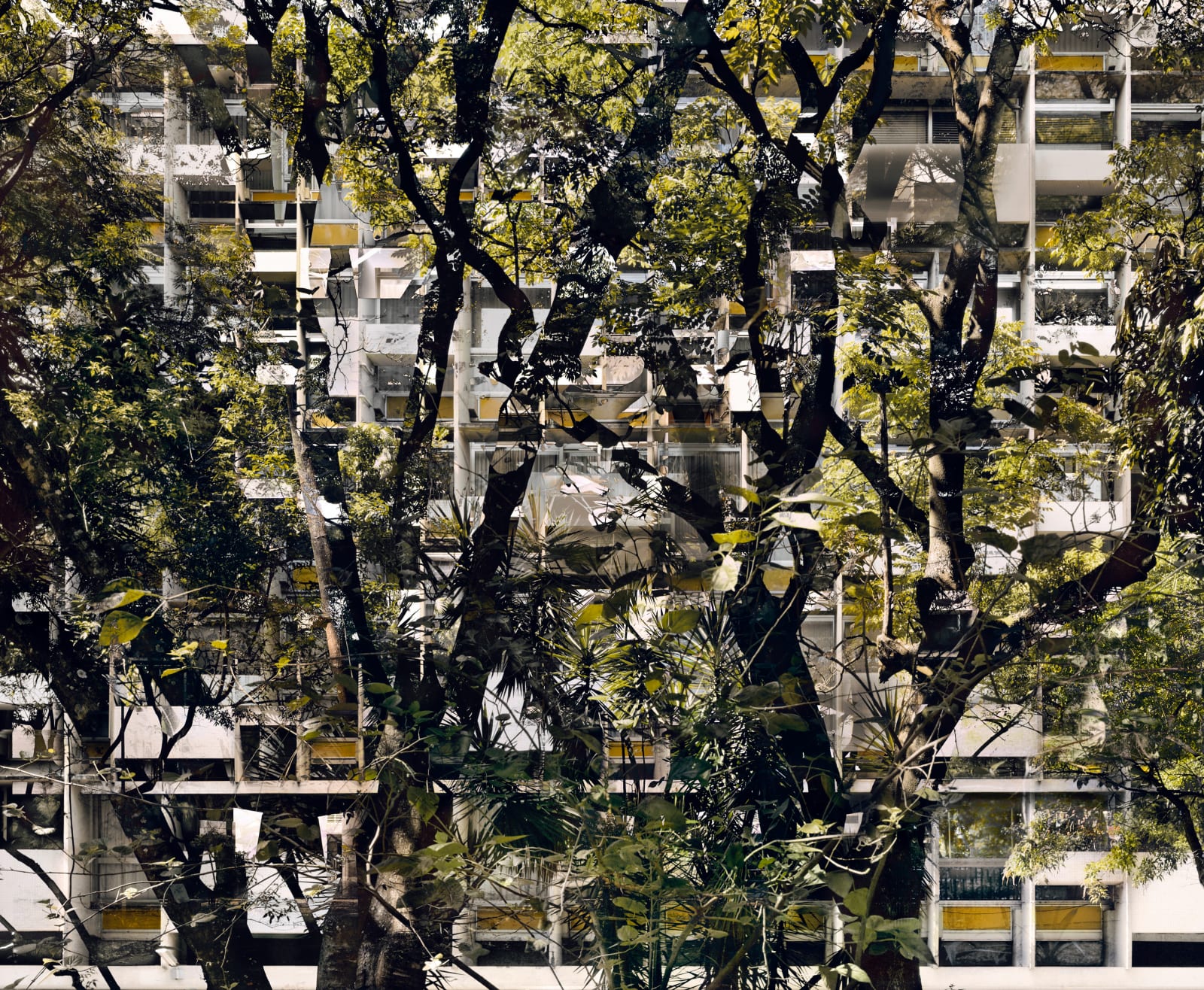 Stéphane Couturier, BRASILIA - Série 'Melting Point' - Quadras 04, 2007-2008