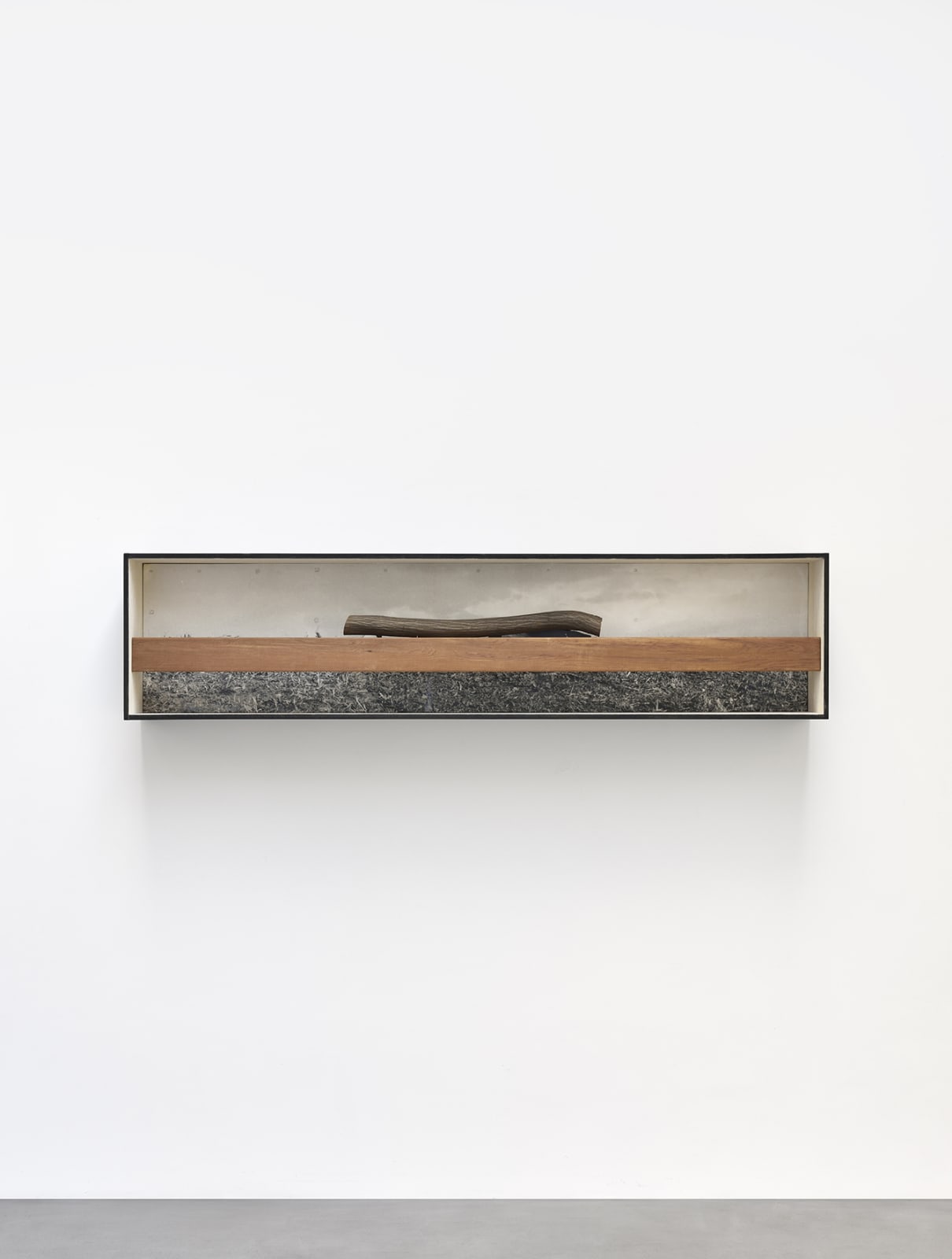 Masaki Nakayama, Identification, 1978