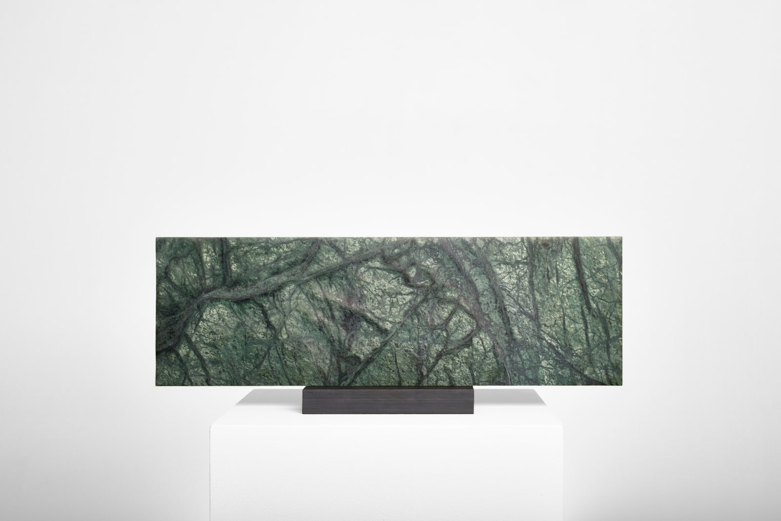 Heinrich Meyer, Urwald, 2017