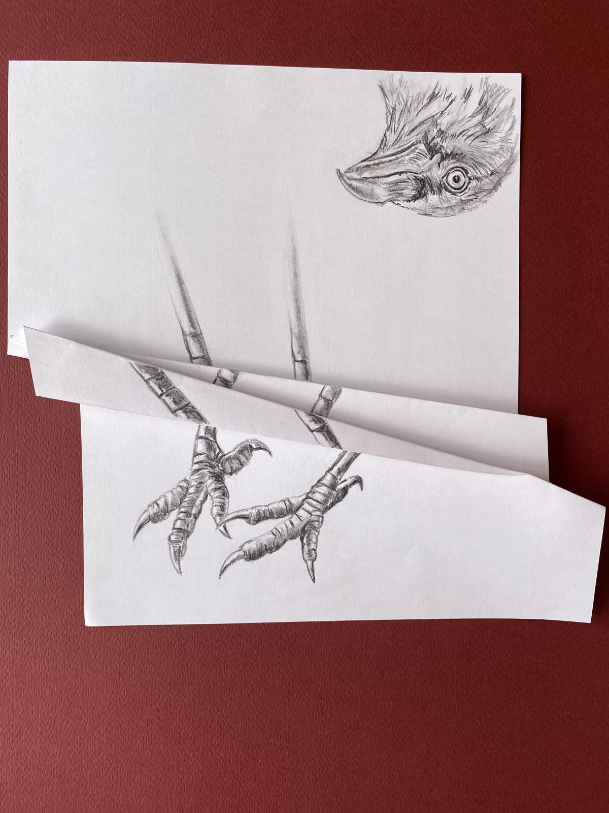 Jérôme Progin, Issue possible 3