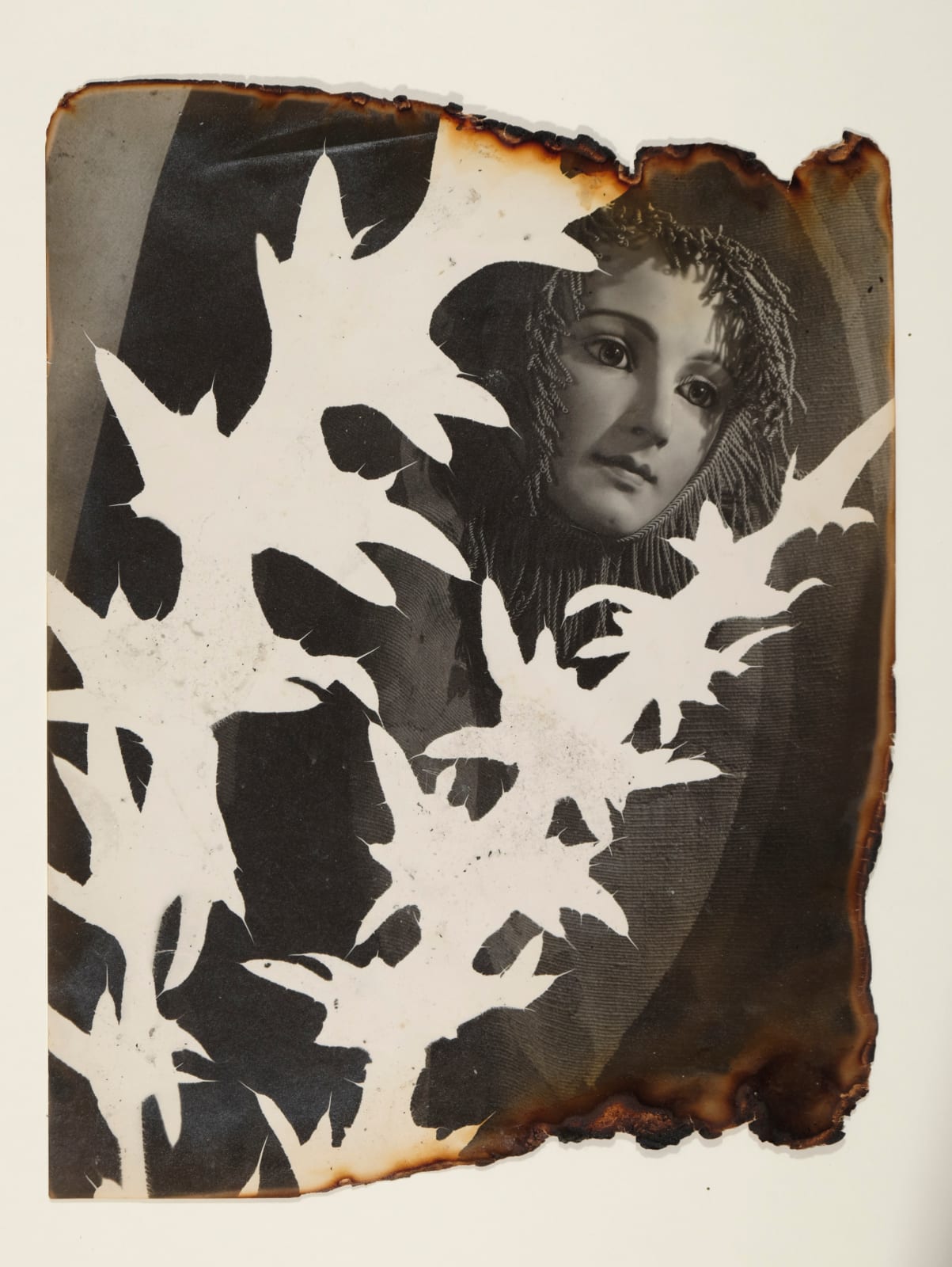 Pierre Jahan, L'Herbier surréaliste (Carduus Nutans), 1945-1948