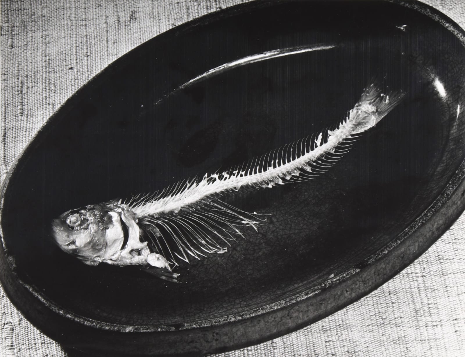 Pierre Jahan , Poisson, 1938