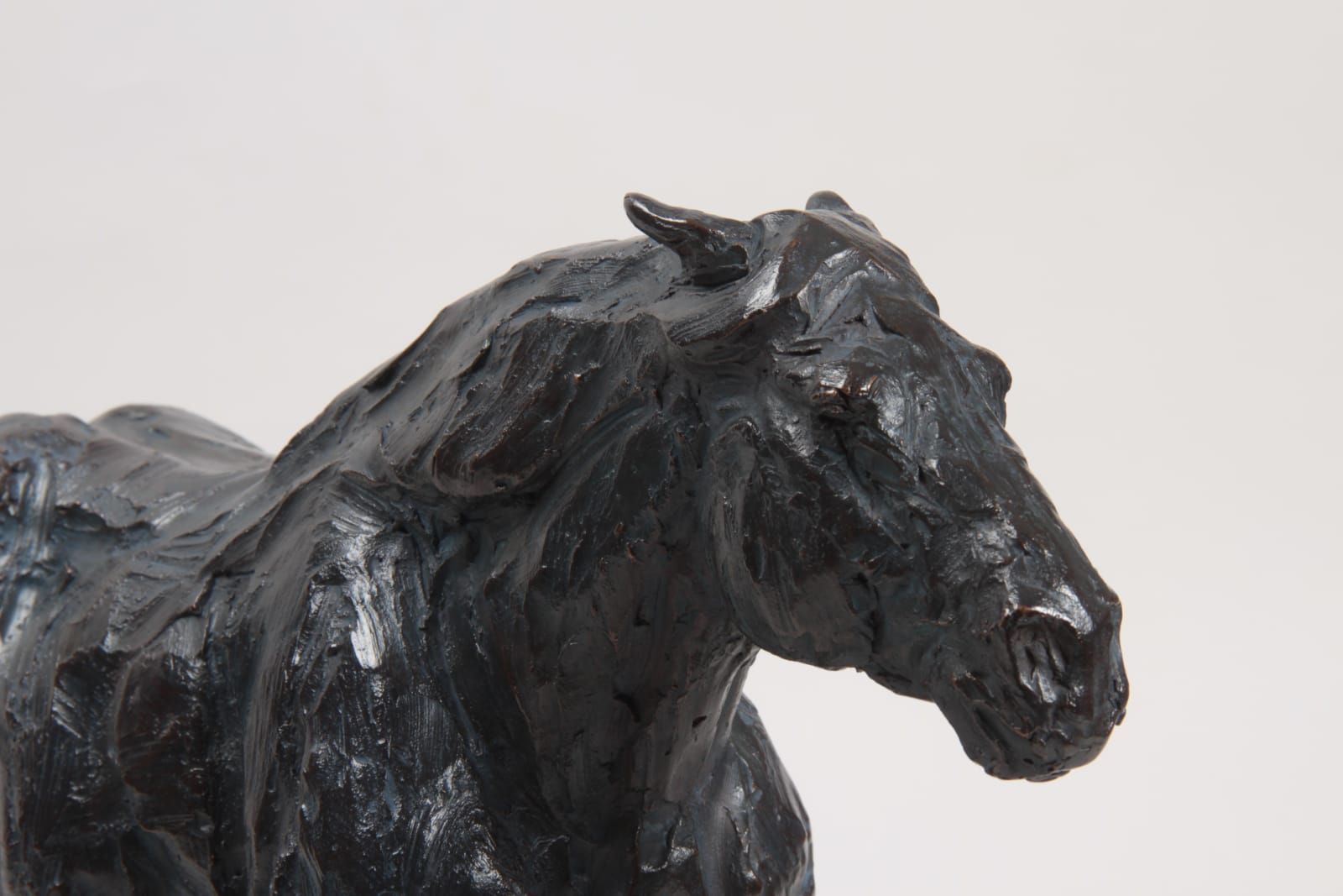 Roch Vandromme, Etude pour le Postier (Cheval de trait), 2019