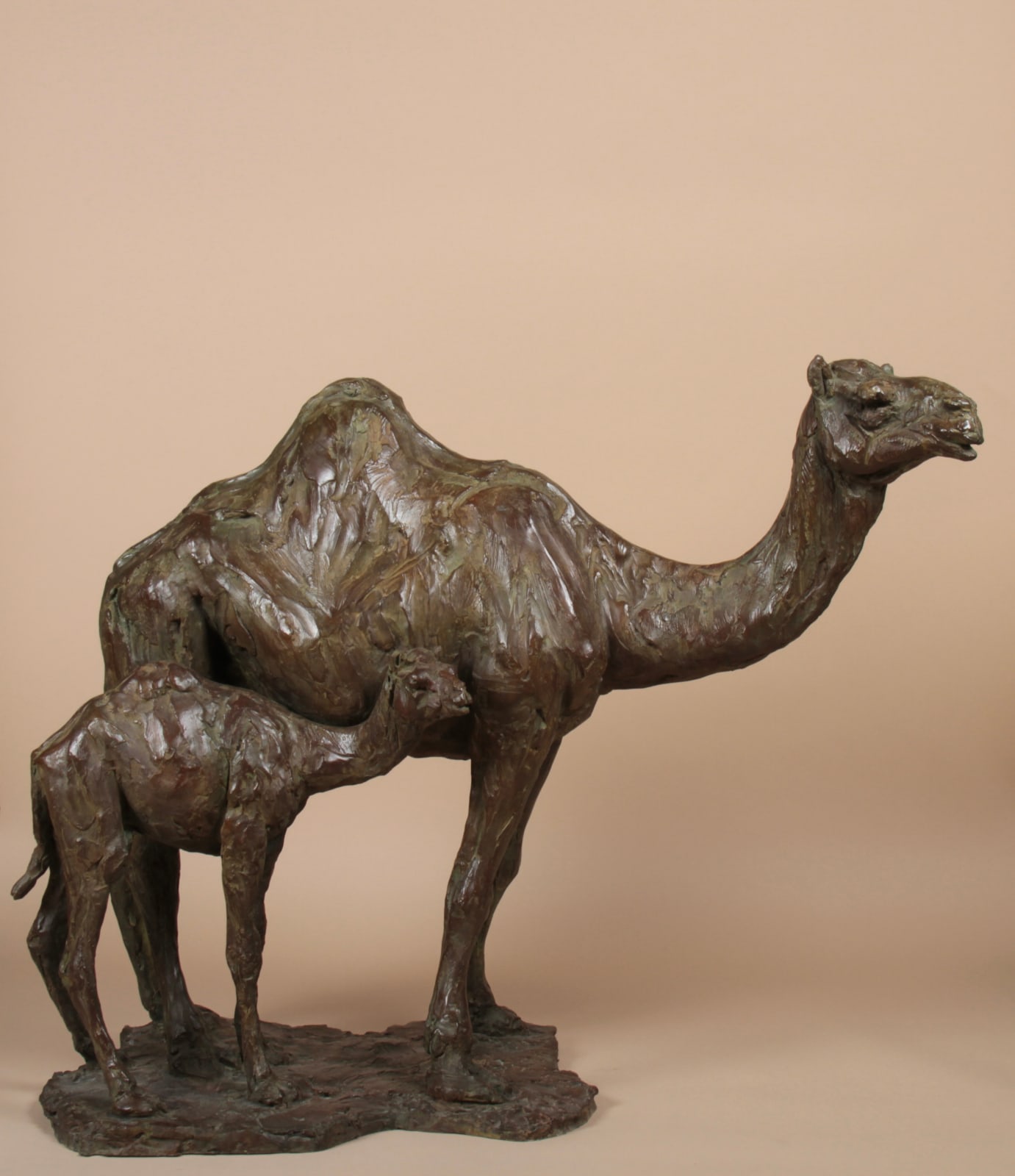 Roch Vandromme, Domadaire et son petit, 2014