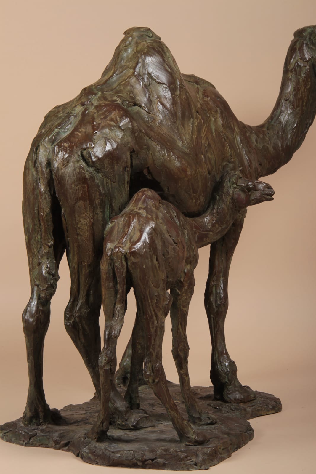 Roch Vandromme, Quatre dromadaires à Doha, 2010-2015