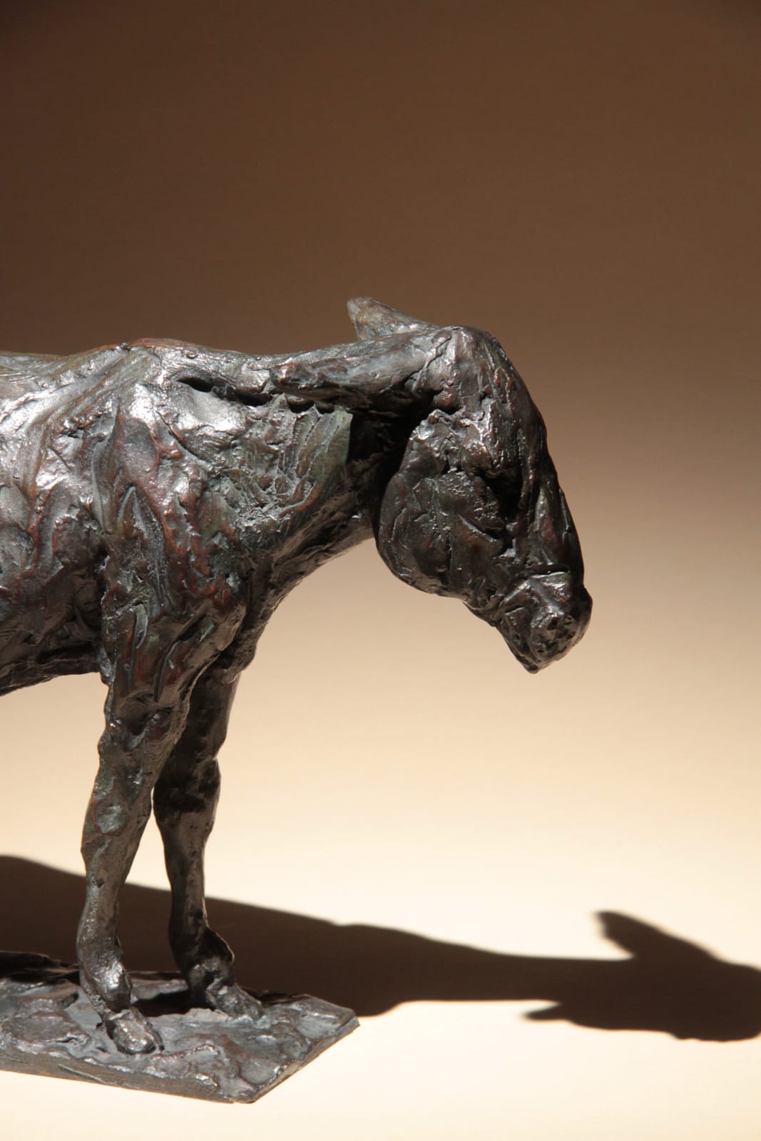 Roch Vandromme, Capucine (Âne), 2007