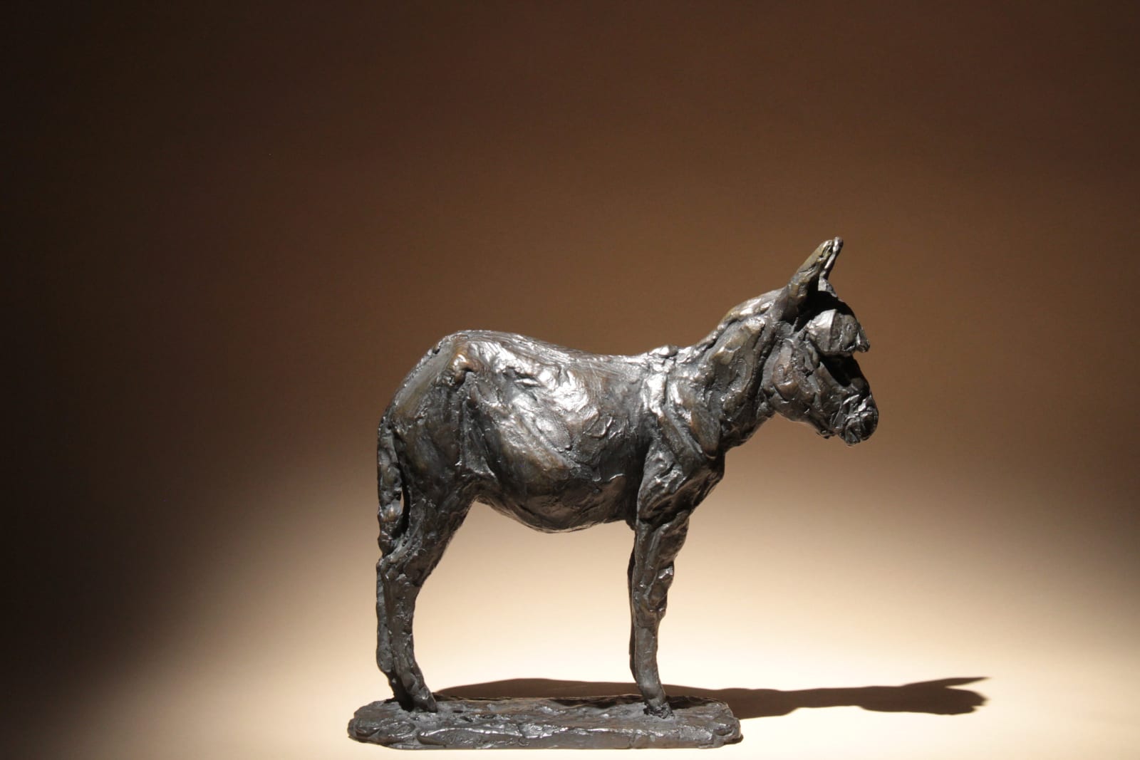 Roch Vandromme, Toupie (Âne), 2007