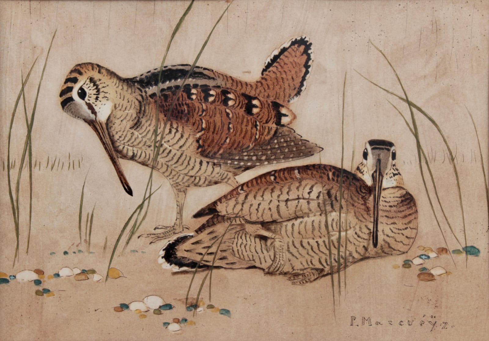 Paul Marcueyz, Bécasses en parade